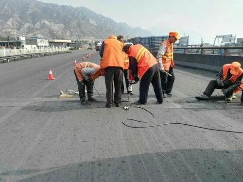 昌都道路桥梁病害治理